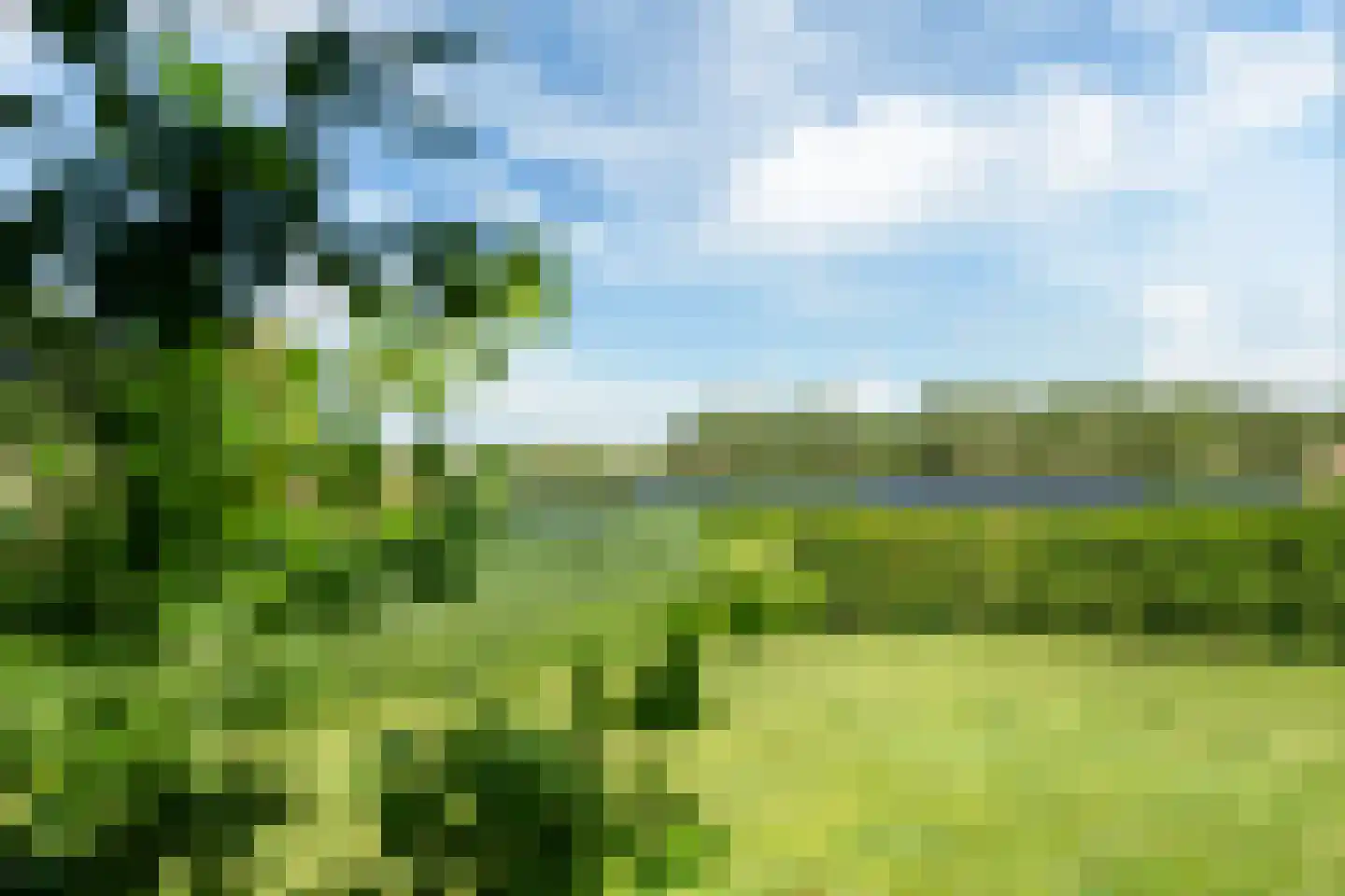 Broekfinne 38 De Wilgen thumbnail 68