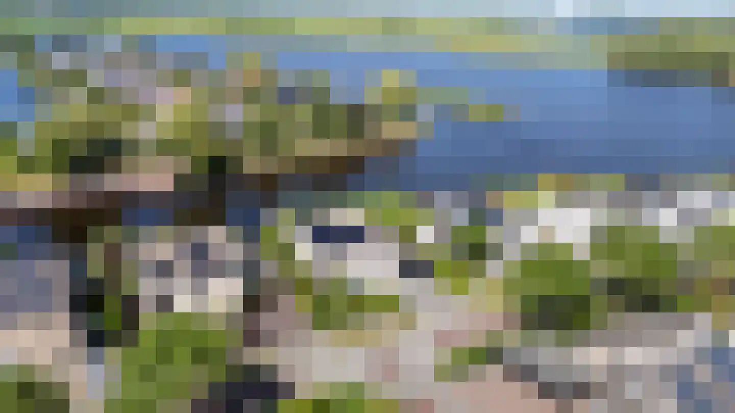 Broekfinne 38 De Wilgen thumbnail 7