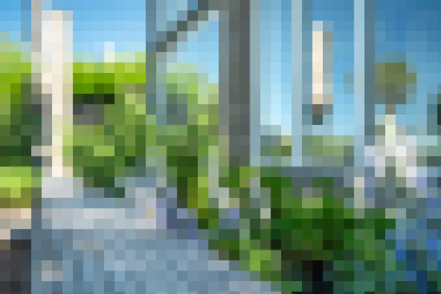 Broekfinne 38 De Wilgen thumbnail 72