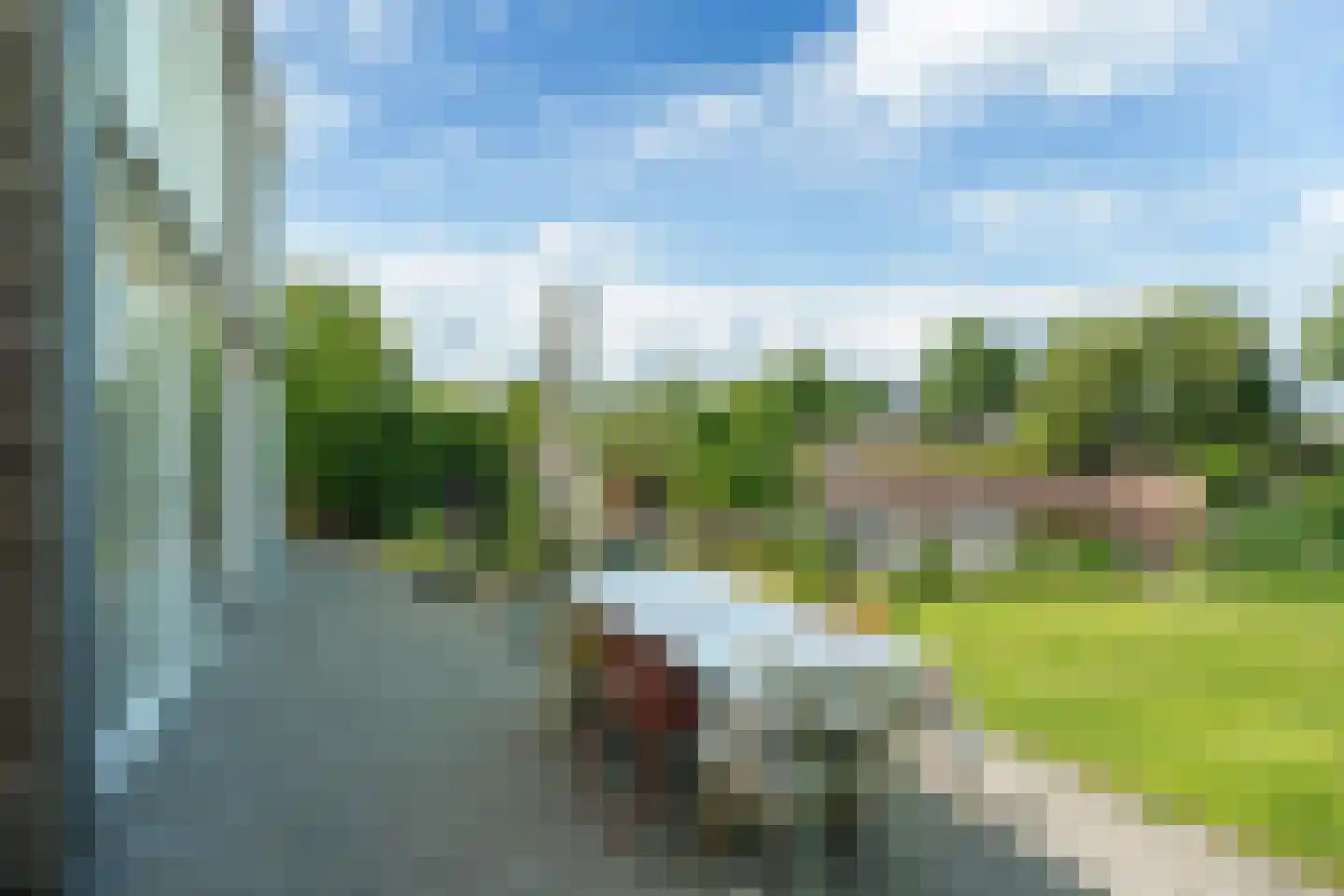 Broekfinne 38 De Wilgen thumbnail 74