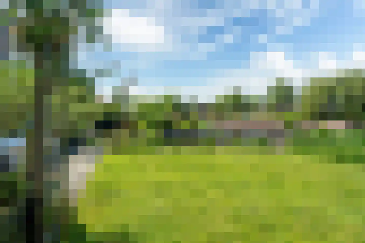 Broekfinne 38 De Wilgen thumbnail 75