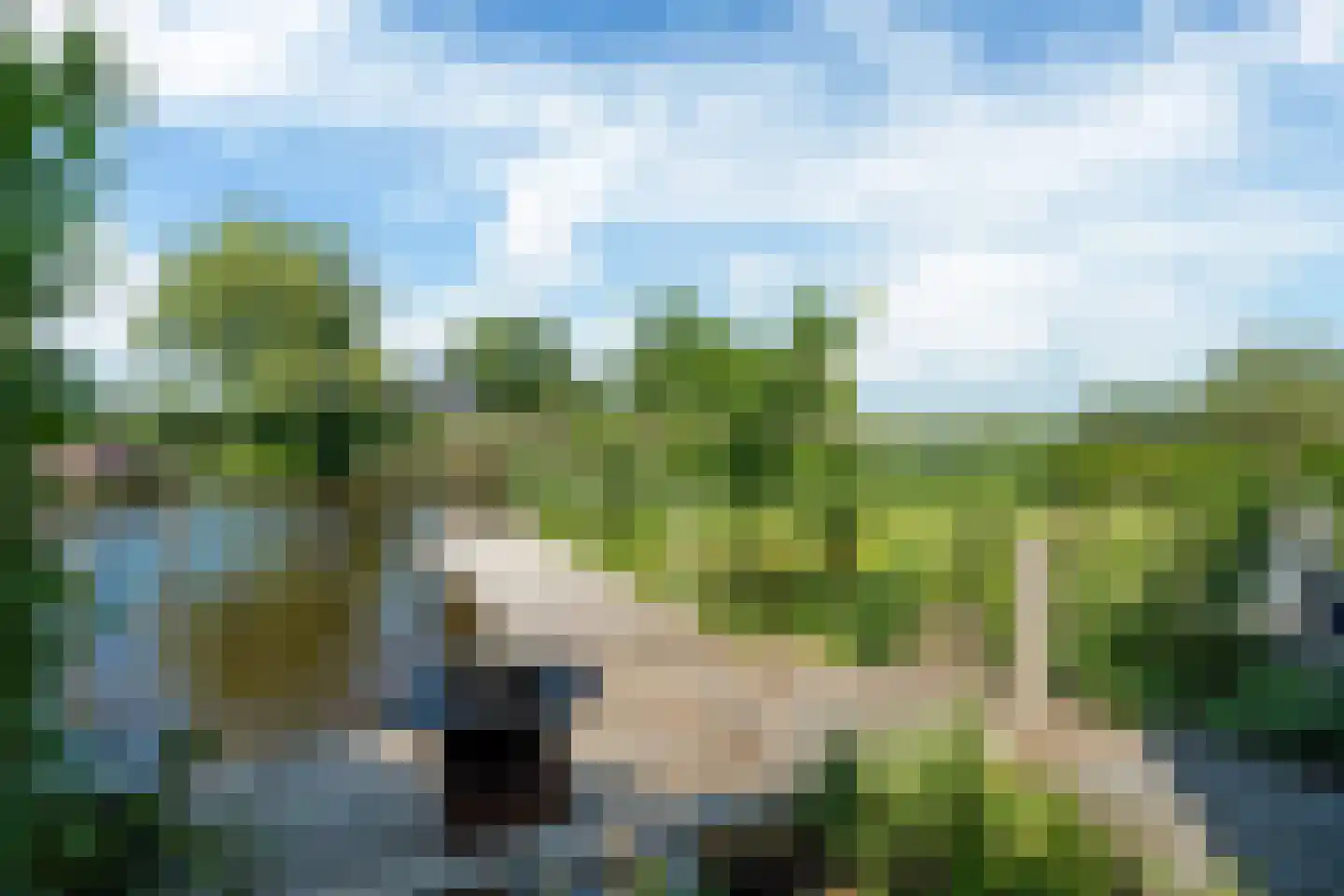 Broekfinne 38 De Wilgen thumbnail 76