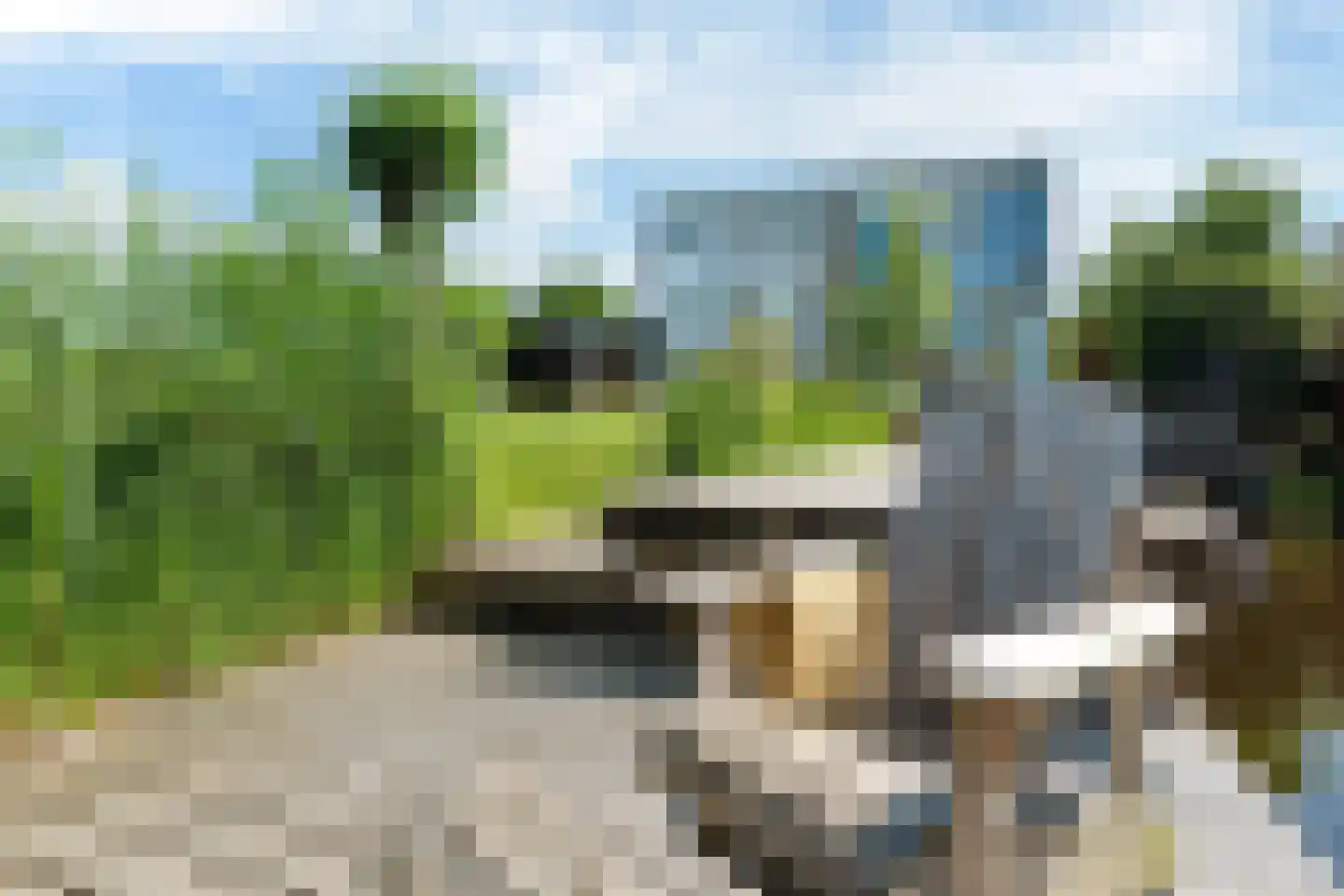 Broekfinne 38 De Wilgen thumbnail 78