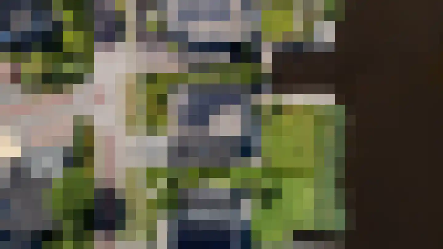 Broekfinne 38 De Wilgen thumbnail 8