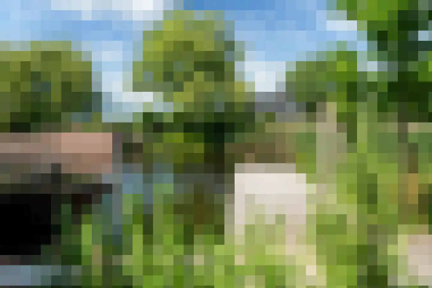 Broekfinne 38 De Wilgen thumbnail 80