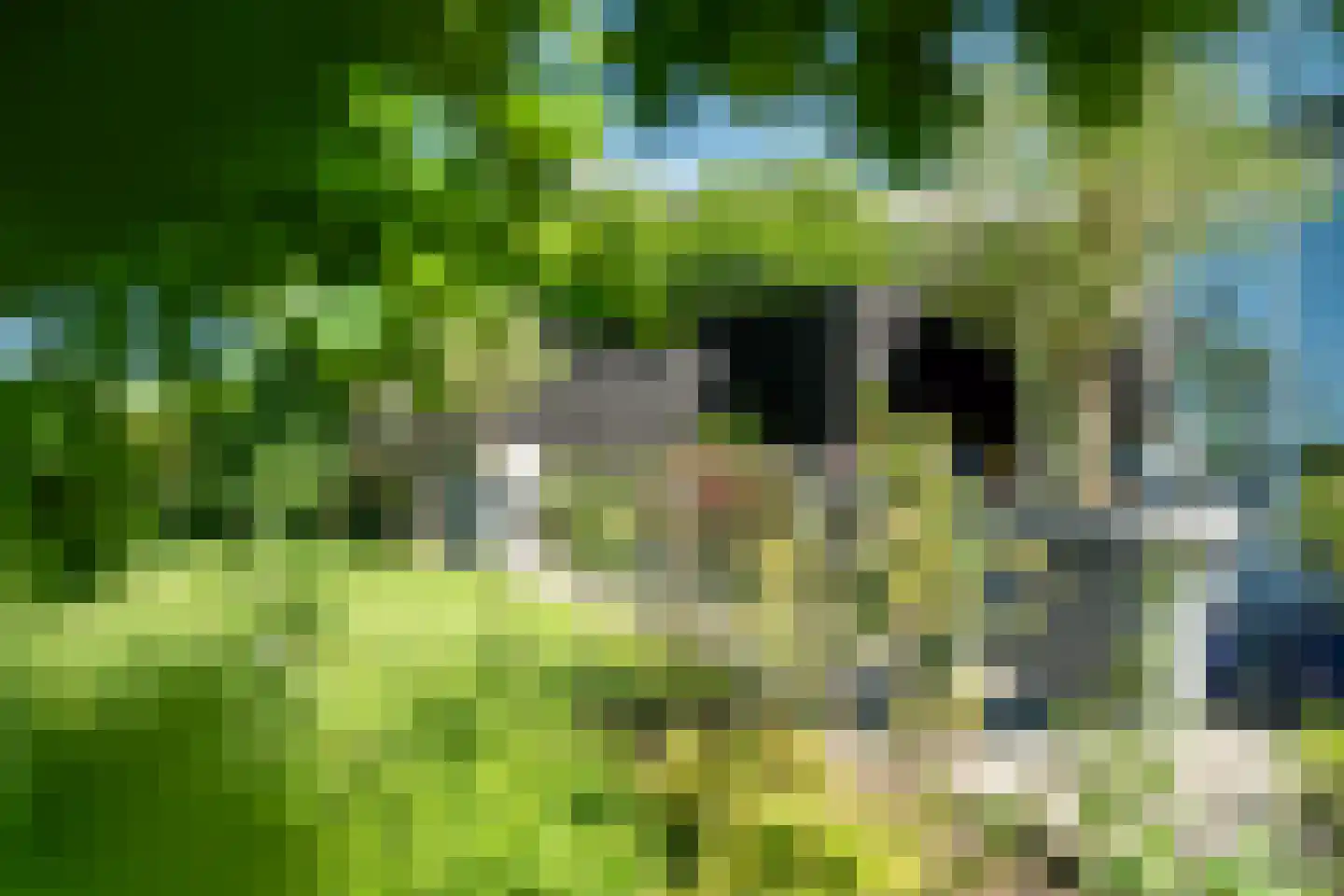 Broekfinne 38 De Wilgen thumbnail 81