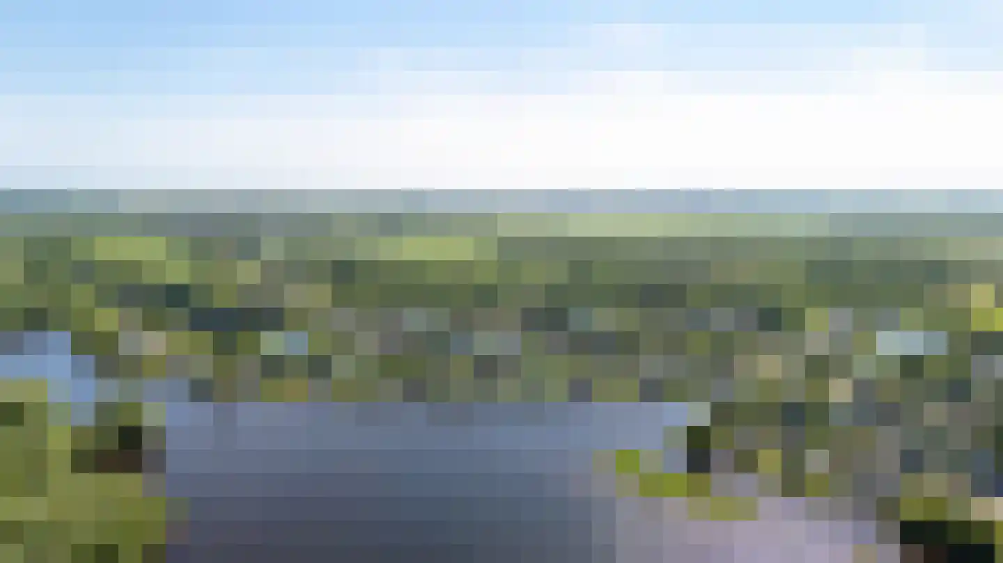 Broekfinne 38 De Wilgen thumbnail 83