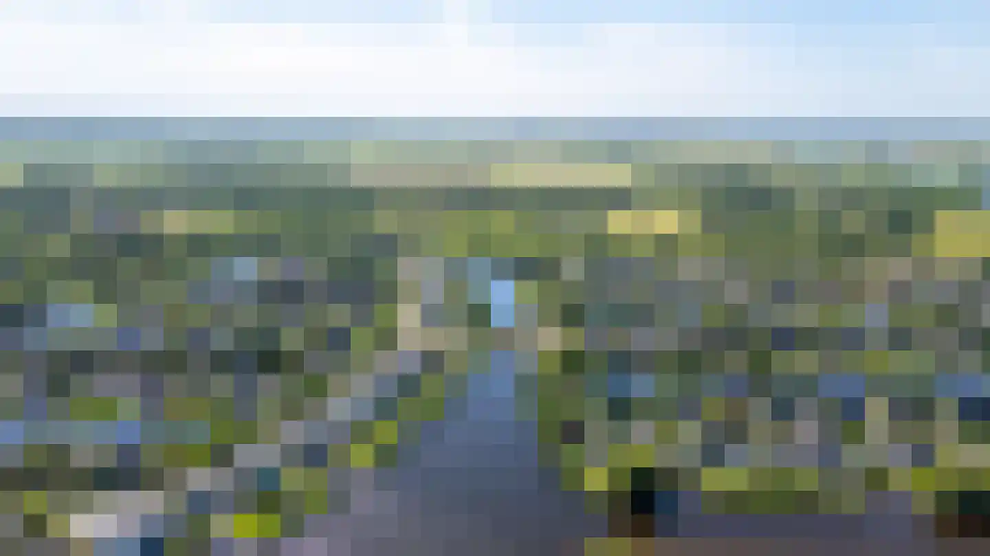 Broekfinne 38 De Wilgen thumbnail 84