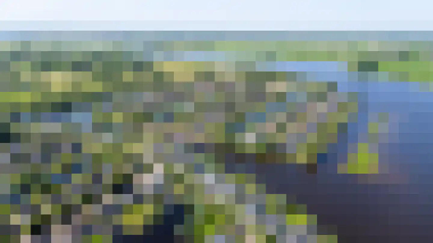 Broekfinne 38 De Wilgen thumbnail 85