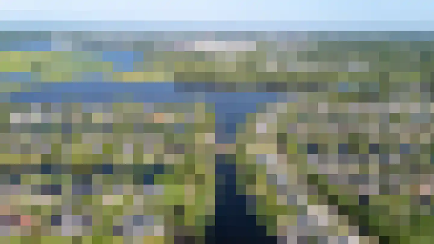 Broekfinne 38 De Wilgen thumbnail 86