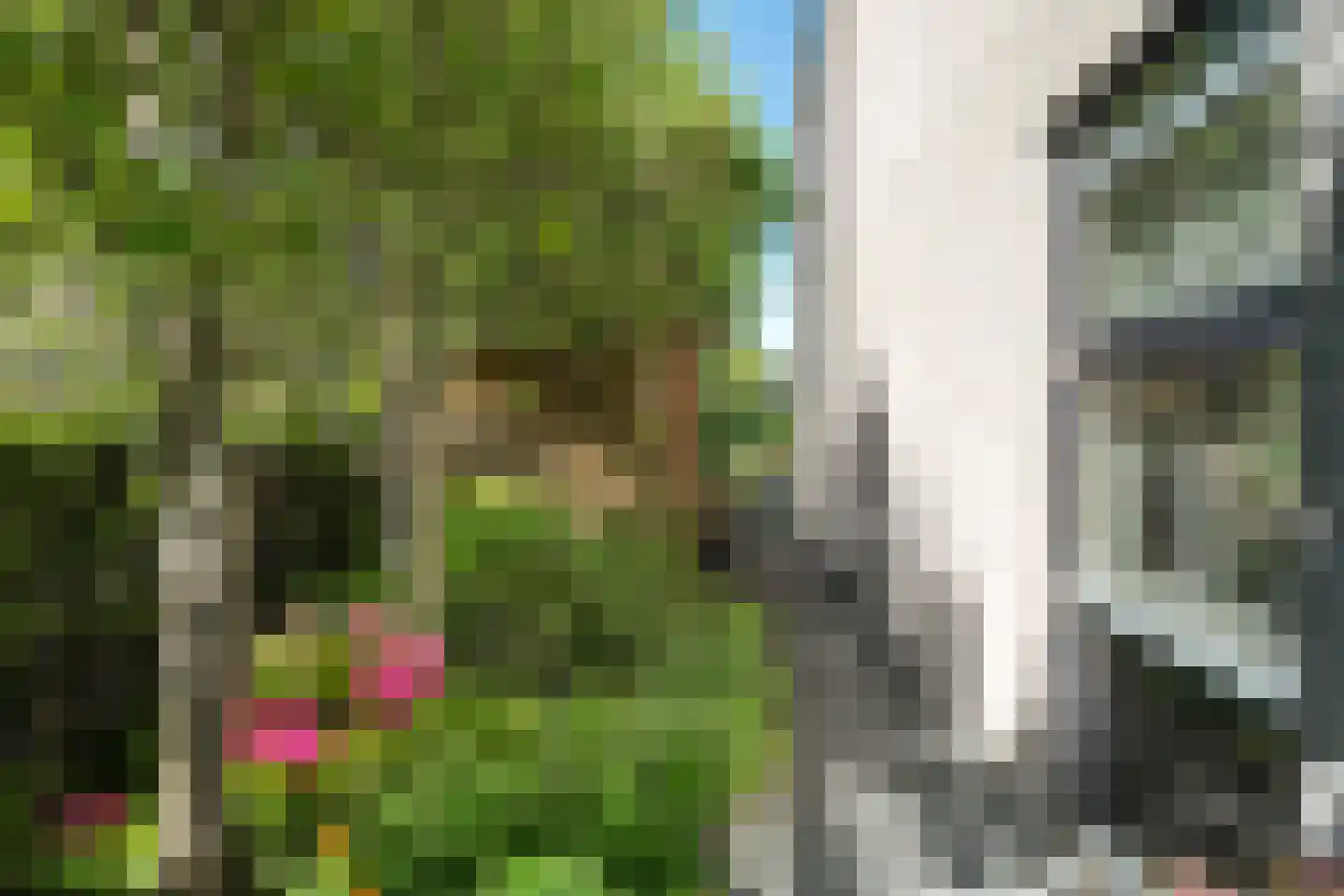 Broekfinne 38 De Wilgen thumbnail 86