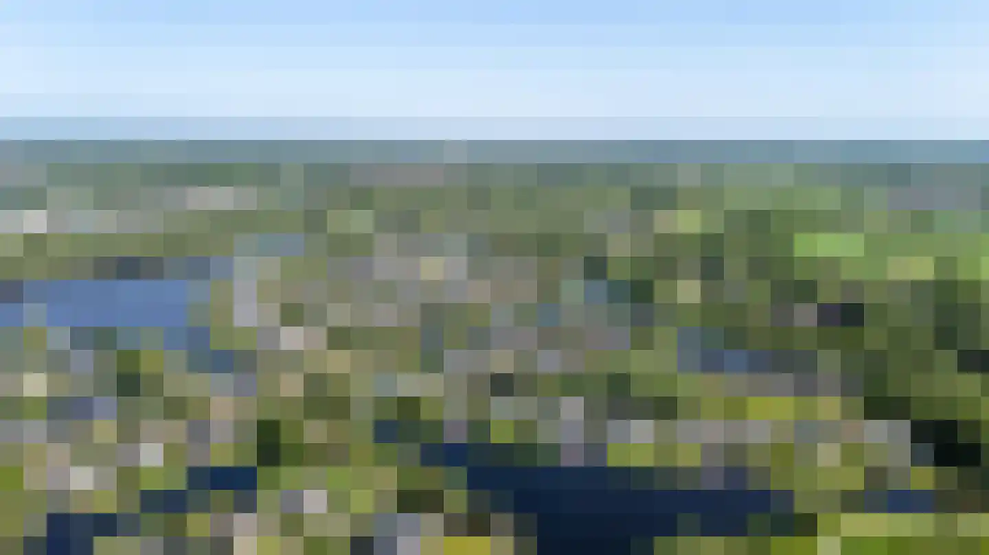 Broekfinne 38 De Wilgen thumbnail 87