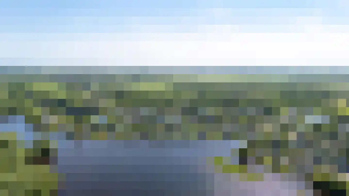 Broekfinne 38 De Wilgen thumbnail 88