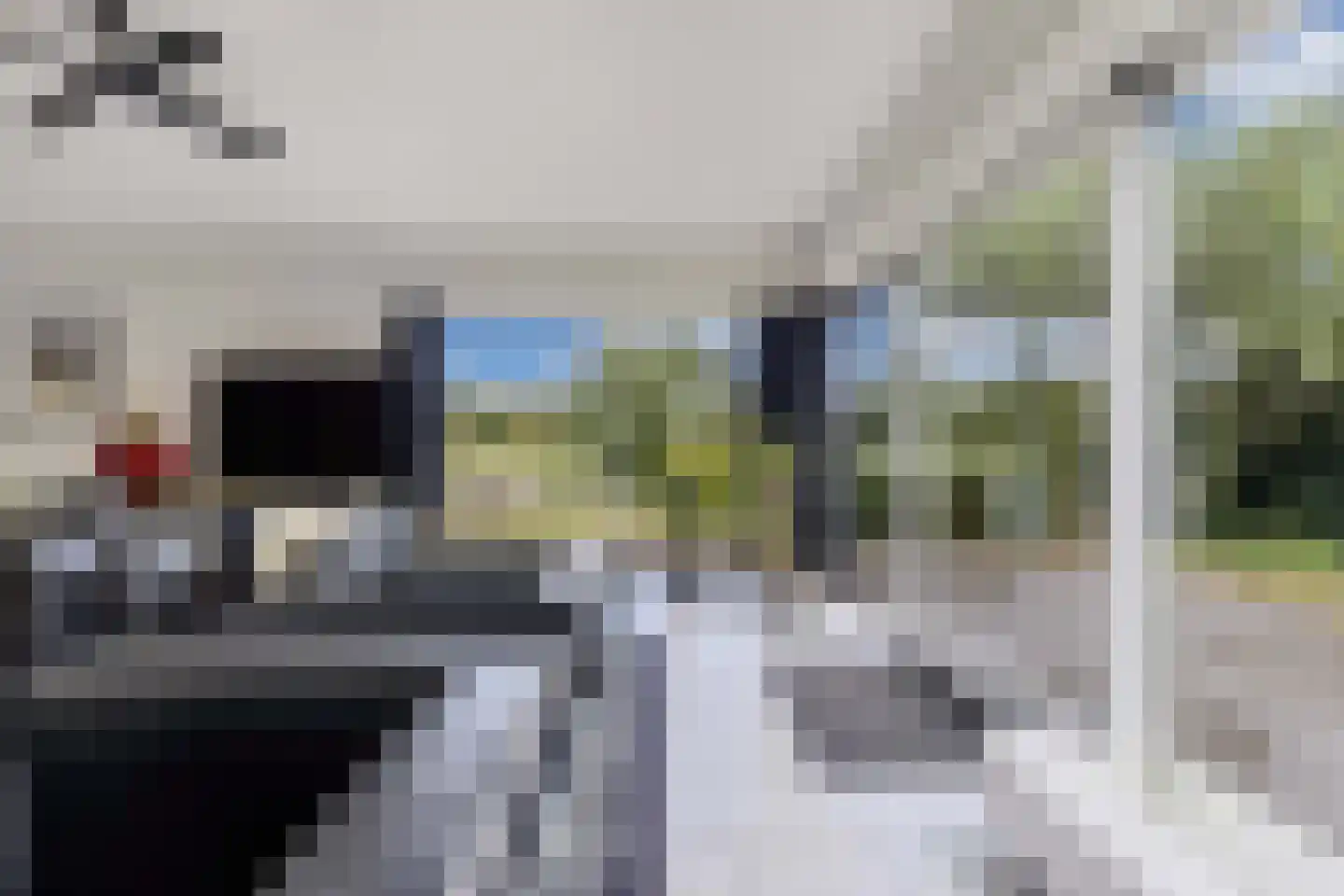 Broekfinne 4 De Wilgen thumbnail 18