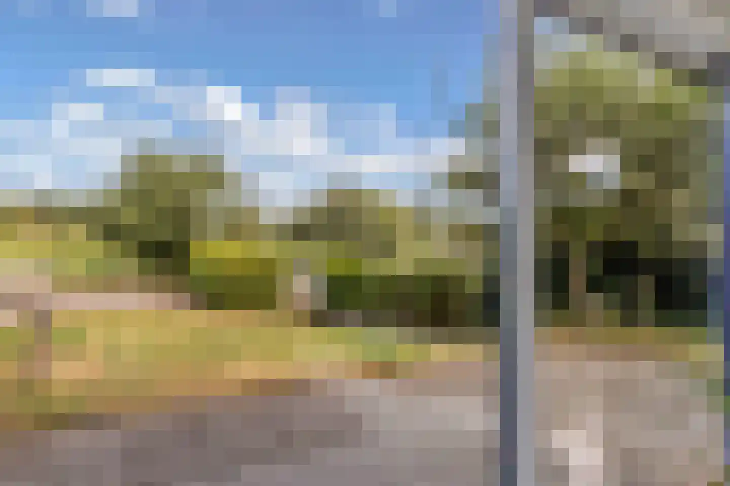 Broekfinne 4 De Wilgen thumbnail 19