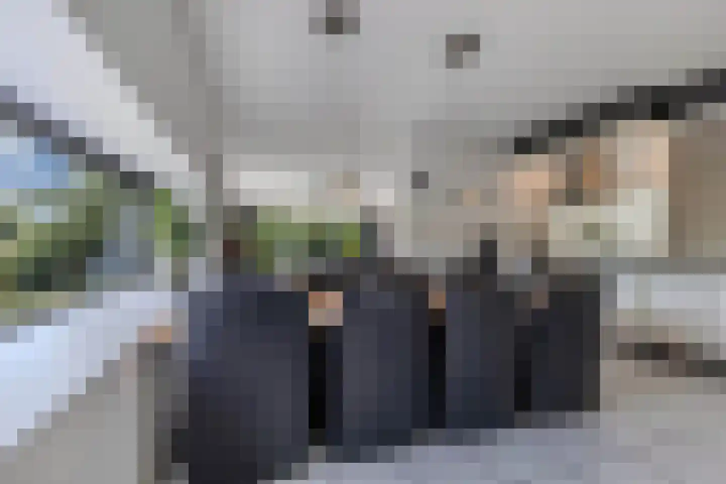 Broekfinne 4 De Wilgen thumbnail 26