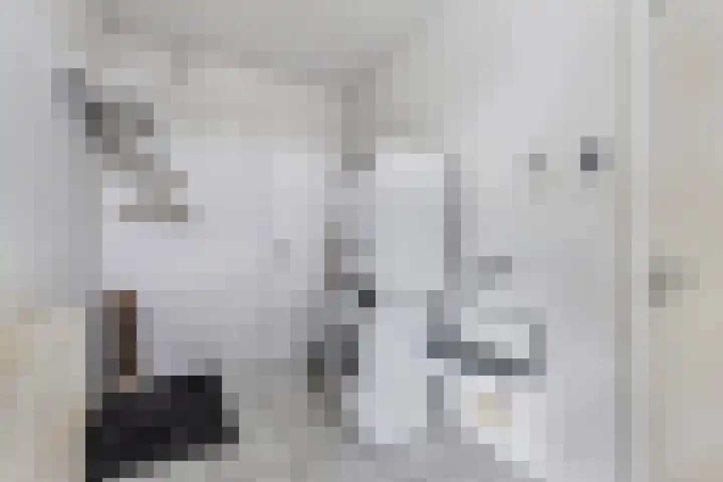 Broekfinne 4 De Wilgen thumbnail 32
