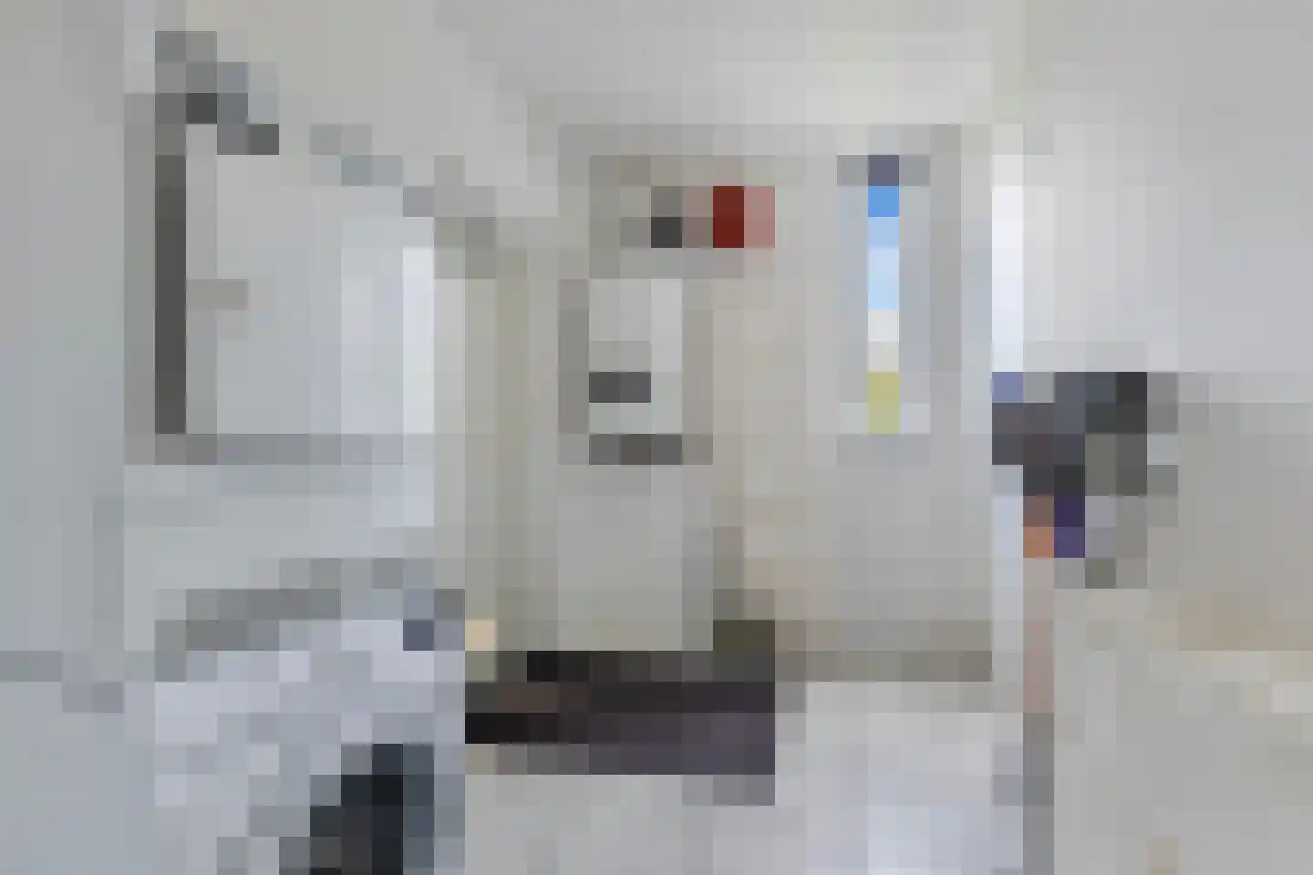 Broekfinne 4 De Wilgen thumbnail 33