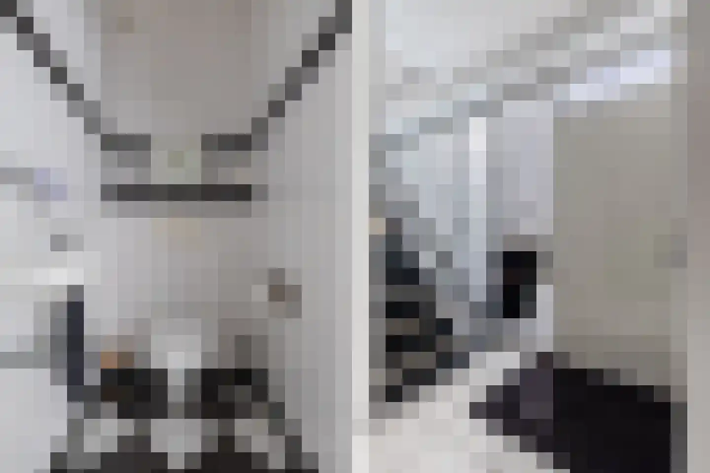 Broekfinne 4 De Wilgen thumbnail 34