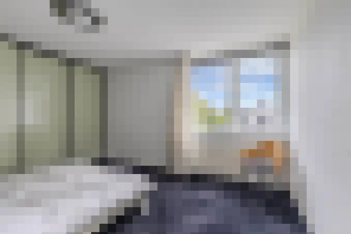Broekfinne 4 De Wilgen thumbnail 40