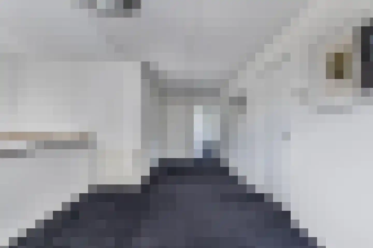 Broekfinne 4 De Wilgen thumbnail 41