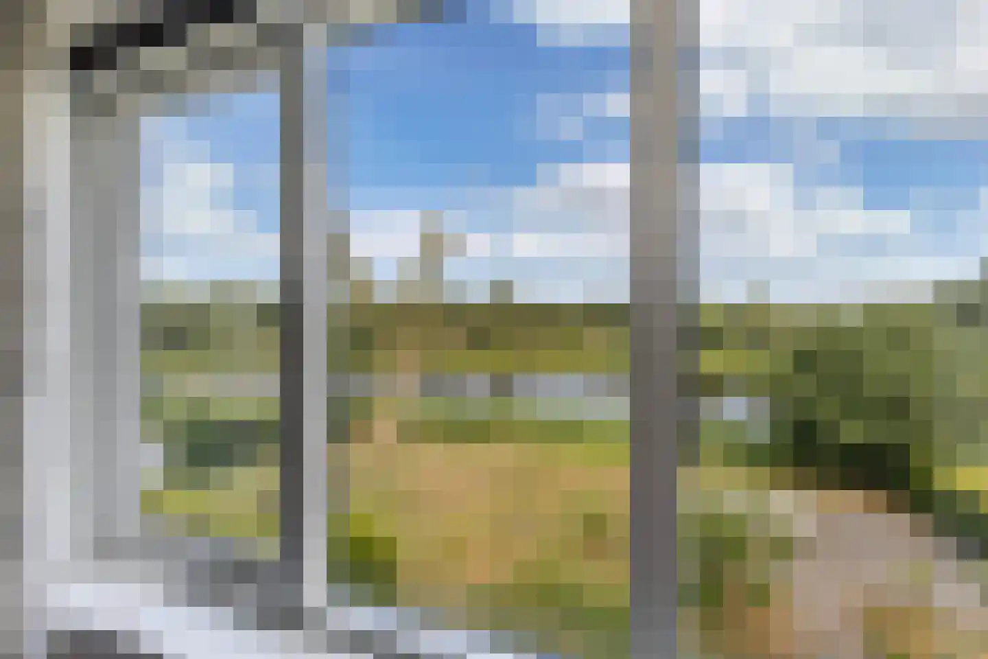 Broekfinne 4 De Wilgen thumbnail 45