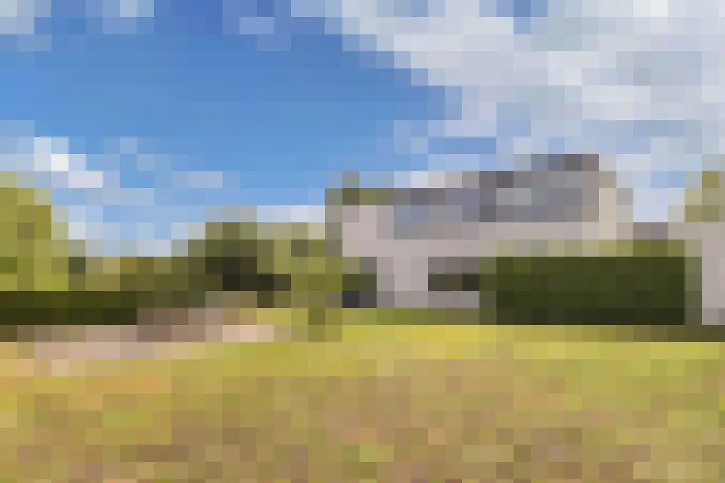 Broekfinne 4 De Wilgen thumbnail 5
