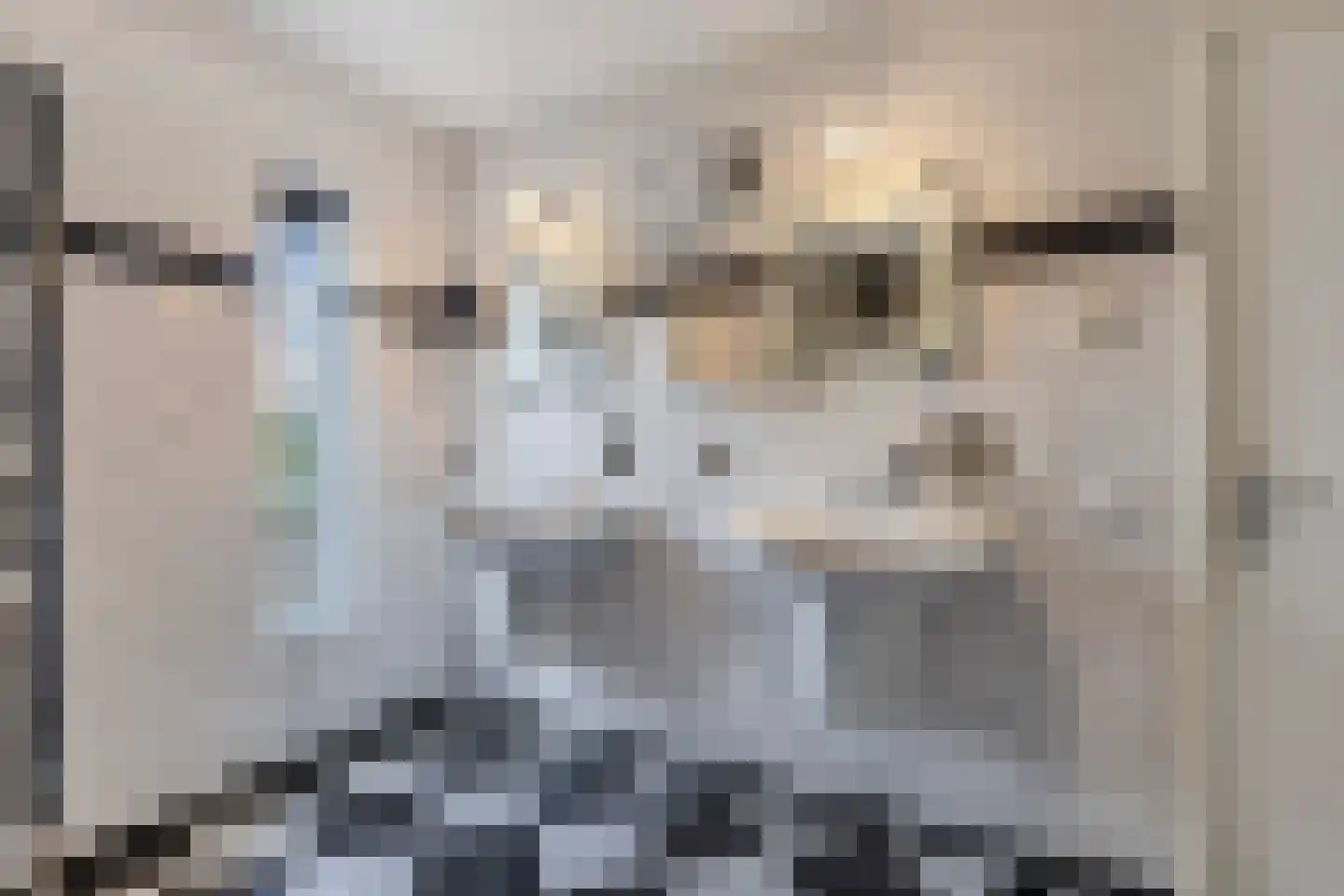 Broekfinne 4 De Wilgen thumbnail 52