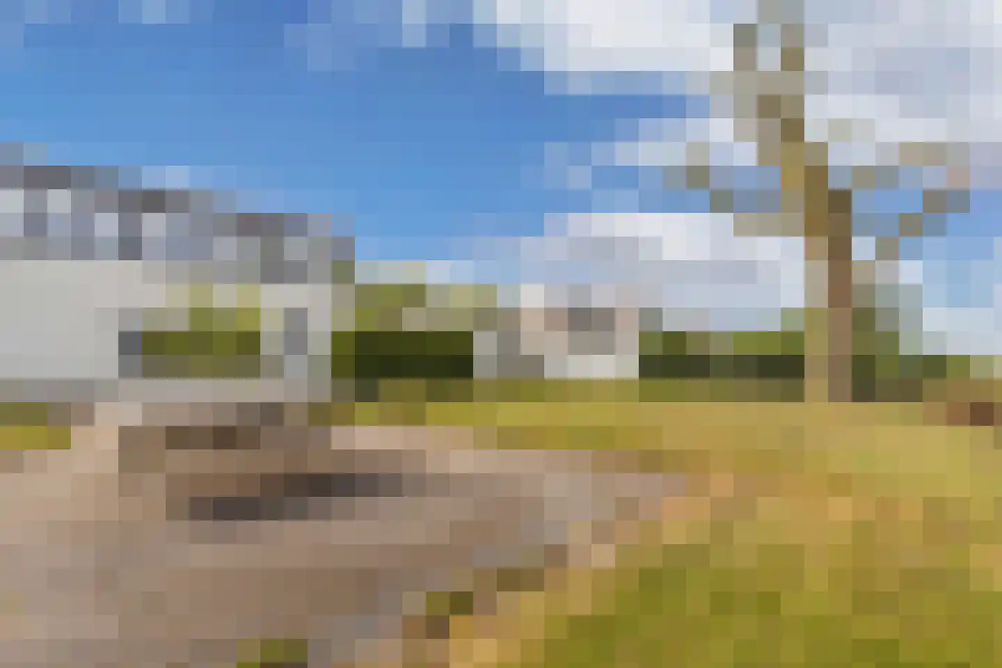 Broekfinne 4 De Wilgen thumbnail 59