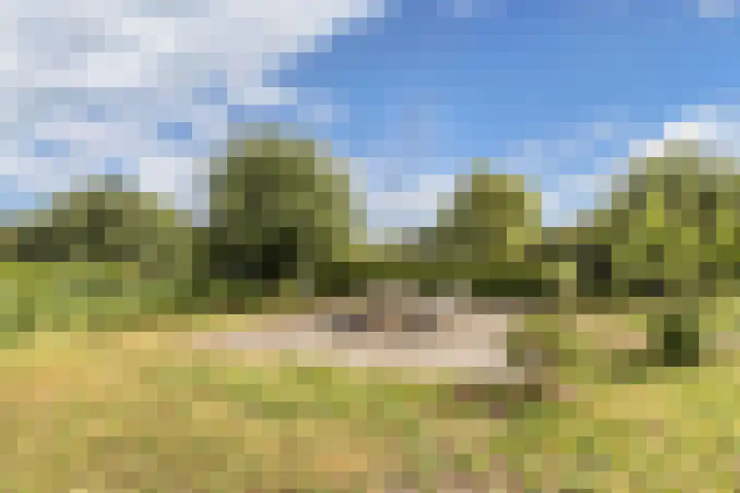 Broekfinne 4 De Wilgen thumbnail 60