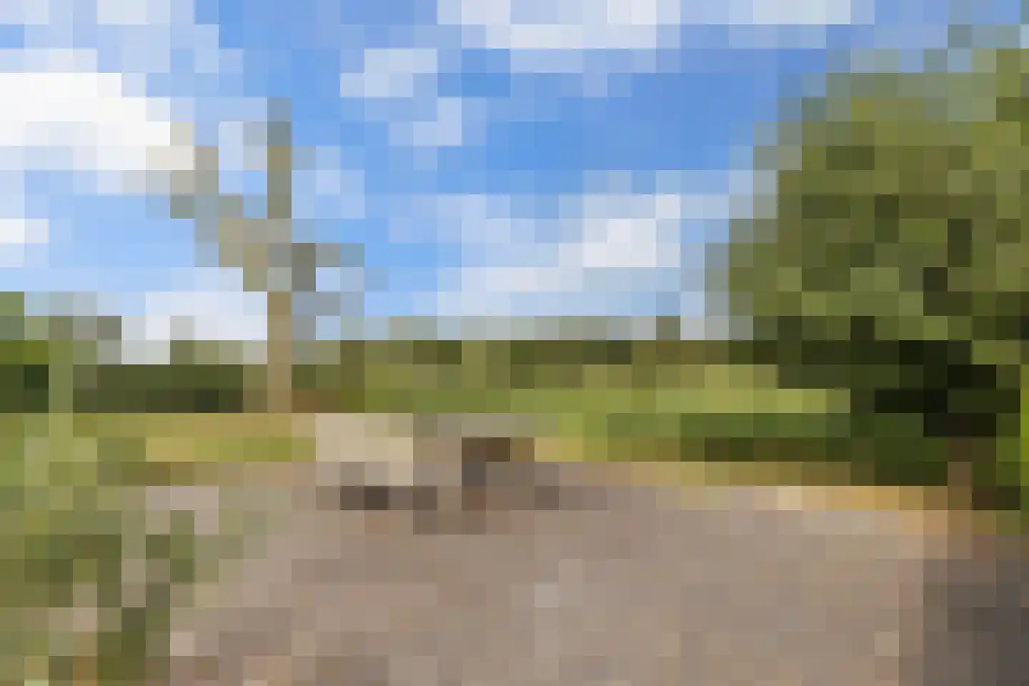 Broekfinne 4 De Wilgen thumbnail 62