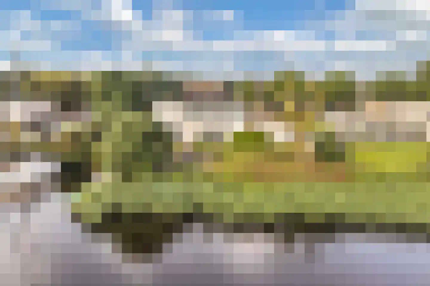 Broekfinne 4 De Wilgen thumbnail 63