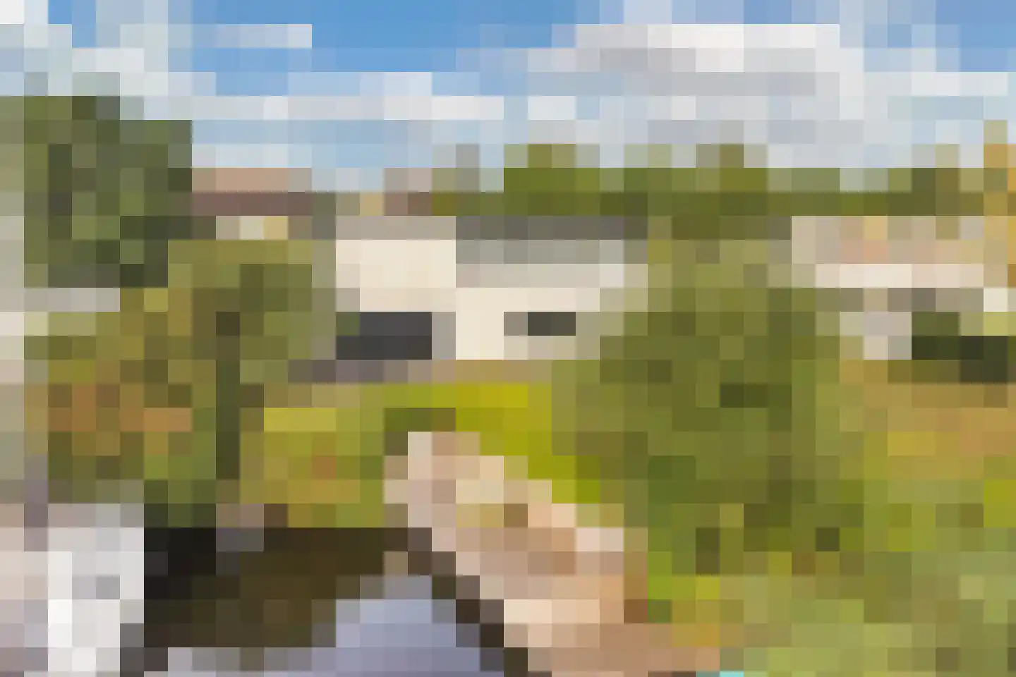 Broekfinne 4 De Wilgen thumbnail 64
