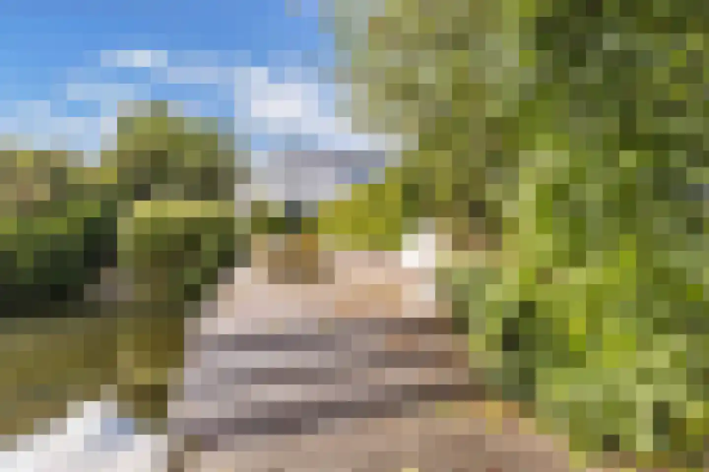 Broekfinne 4 De Wilgen thumbnail 65