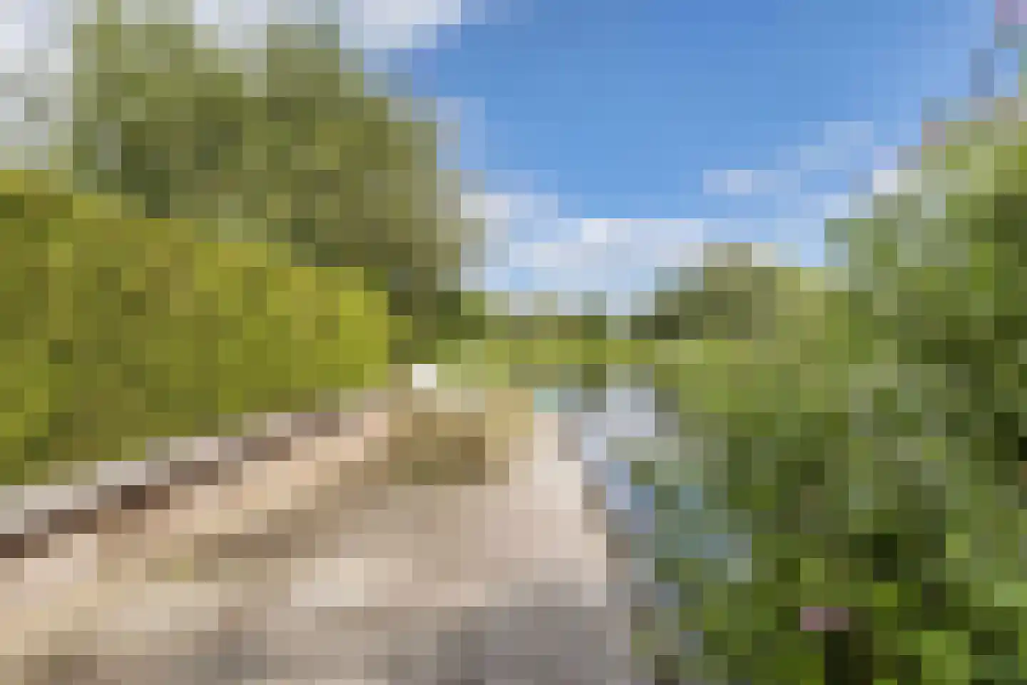 Broekfinne 4 De Wilgen thumbnail 66