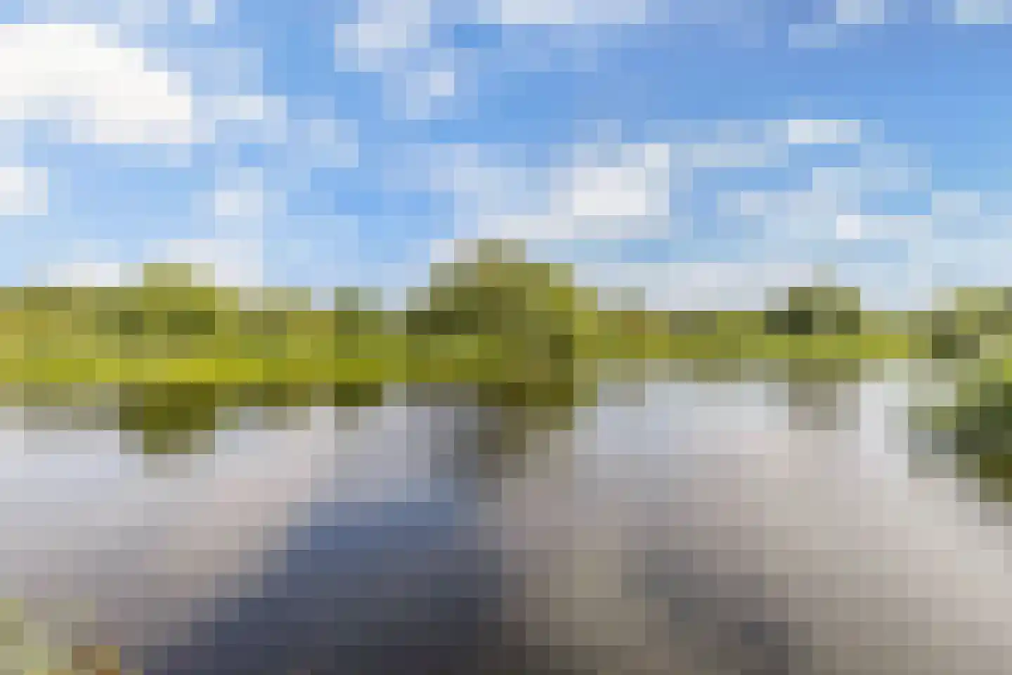 Broekfinne 4 De Wilgen thumbnail 69