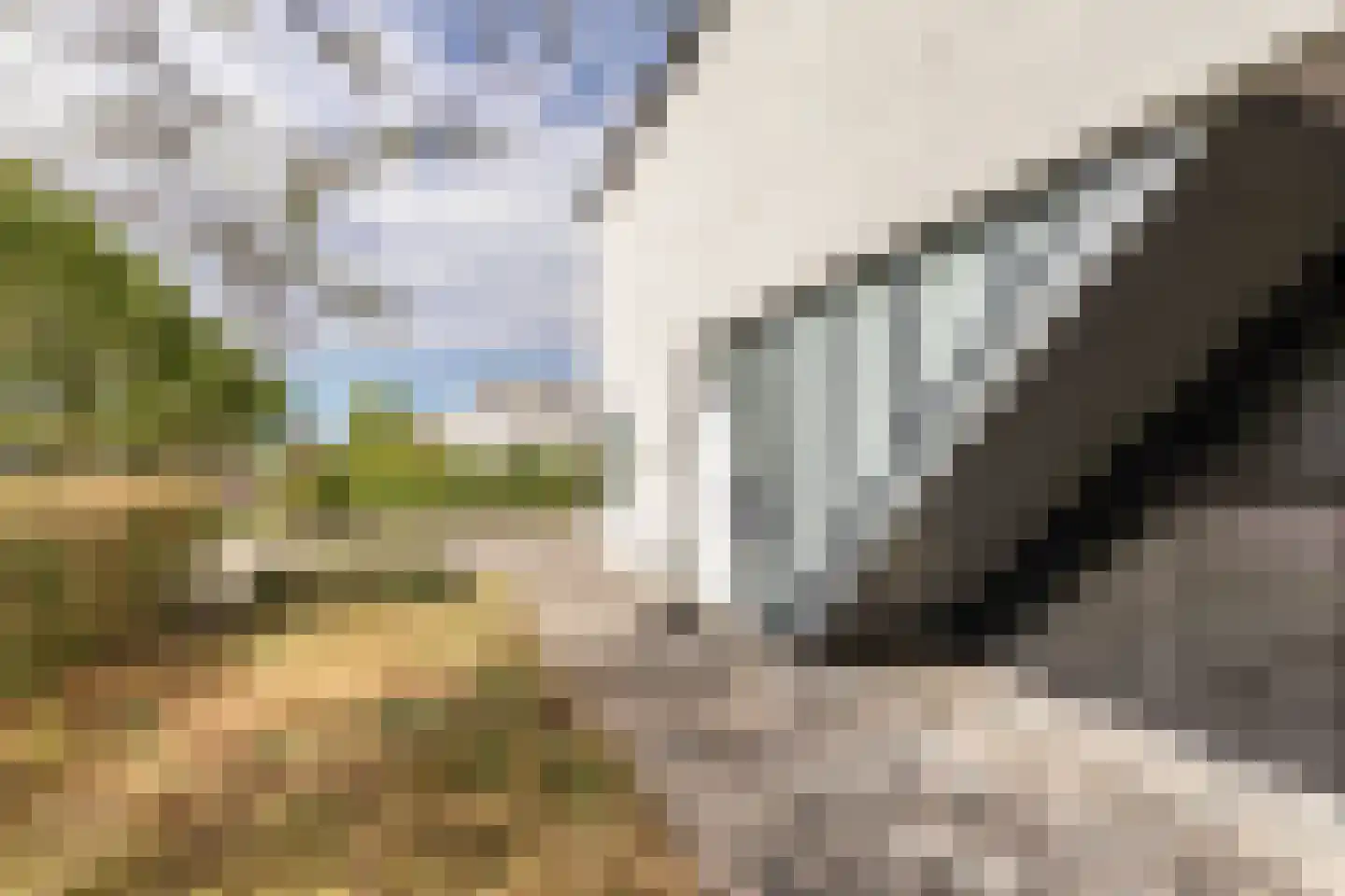 Broekfinne 4 De Wilgen thumbnail 7