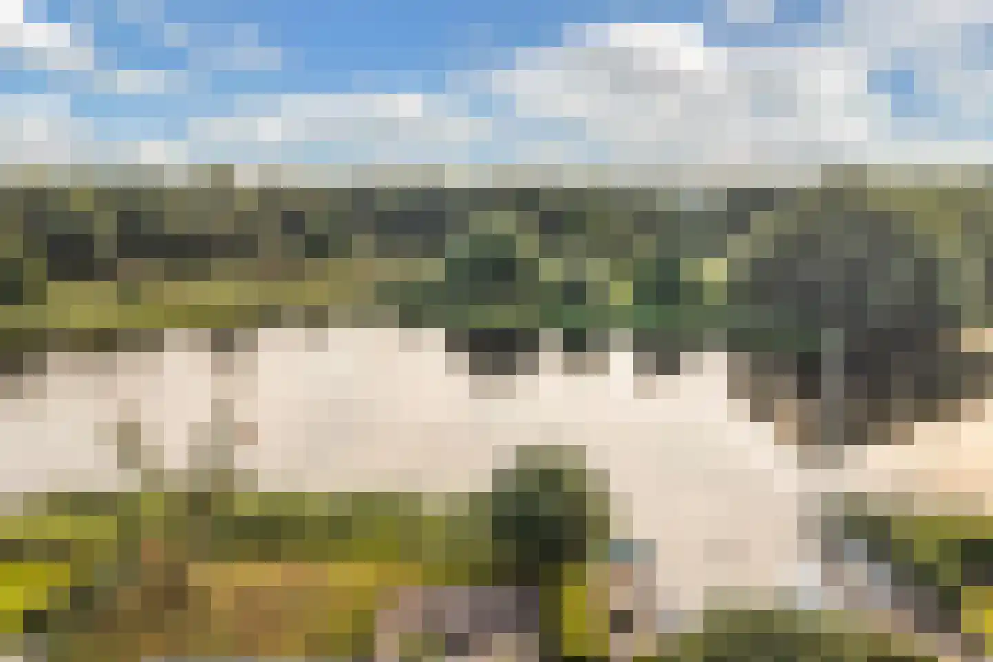 Broekfinne 4 De Wilgen thumbnail 70
