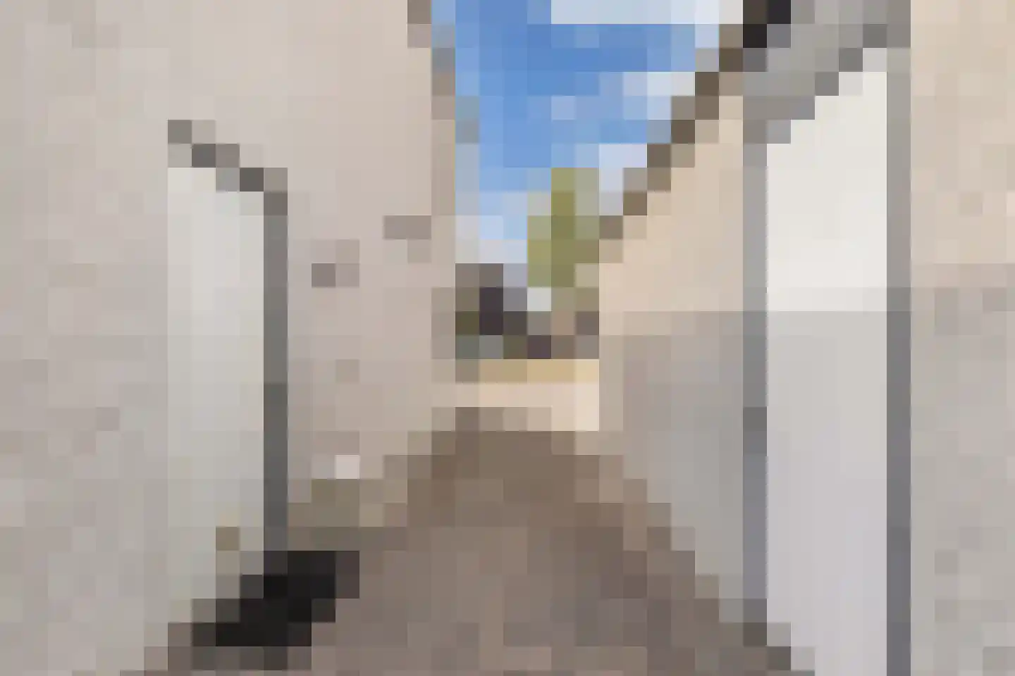 Broekfinne 4 De Wilgen thumbnail 72