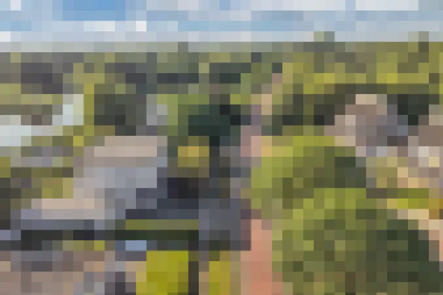 Broekfinne 4 De Wilgen thumbnail 76