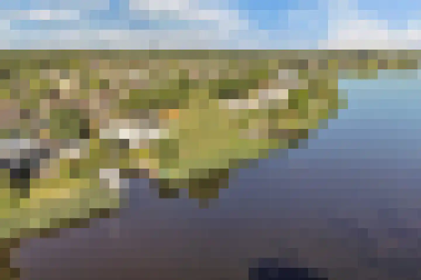 Broekfinne 4 De Wilgen thumbnail 79