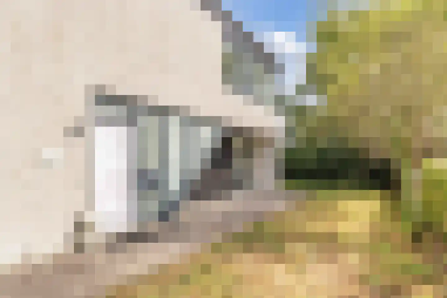Broekfinne 4 De Wilgen thumbnail 8