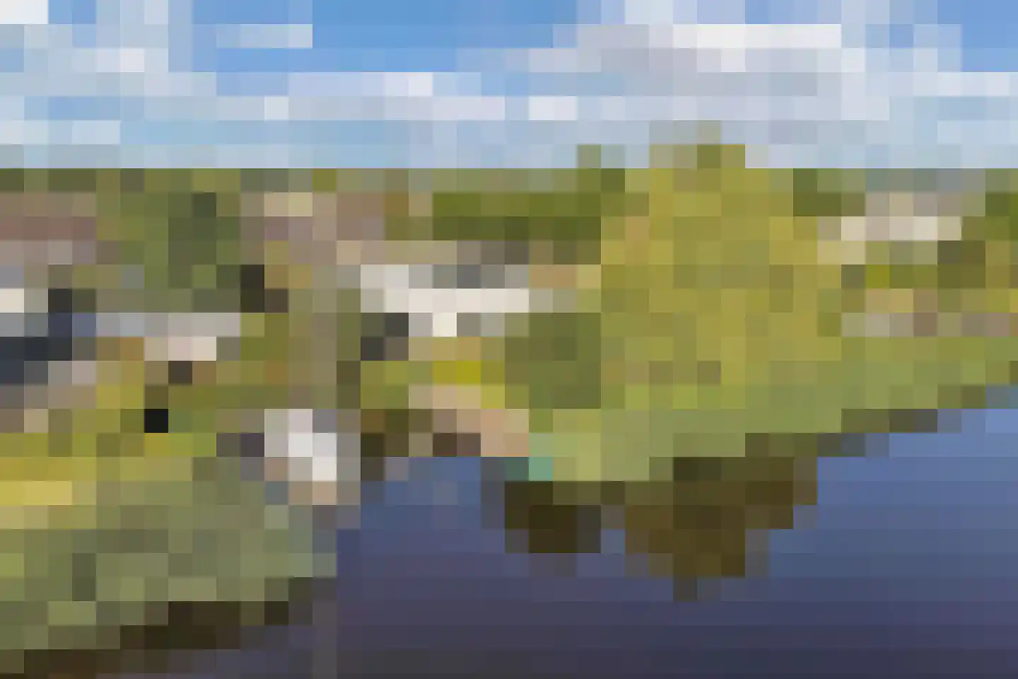 Broekfinne 4 De Wilgen thumbnail 80