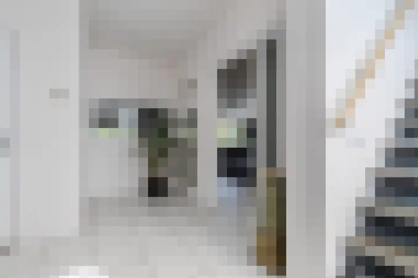Broekfinne 4 De Wilgen thumbnail 9