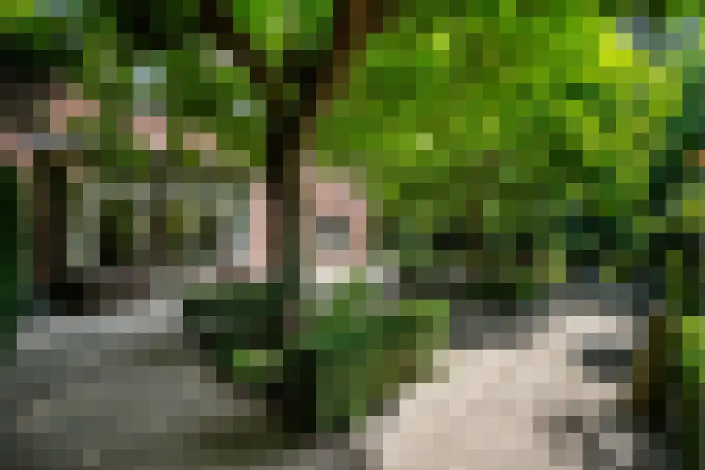 Broekhem 123 Valkenburg thumbnail 31