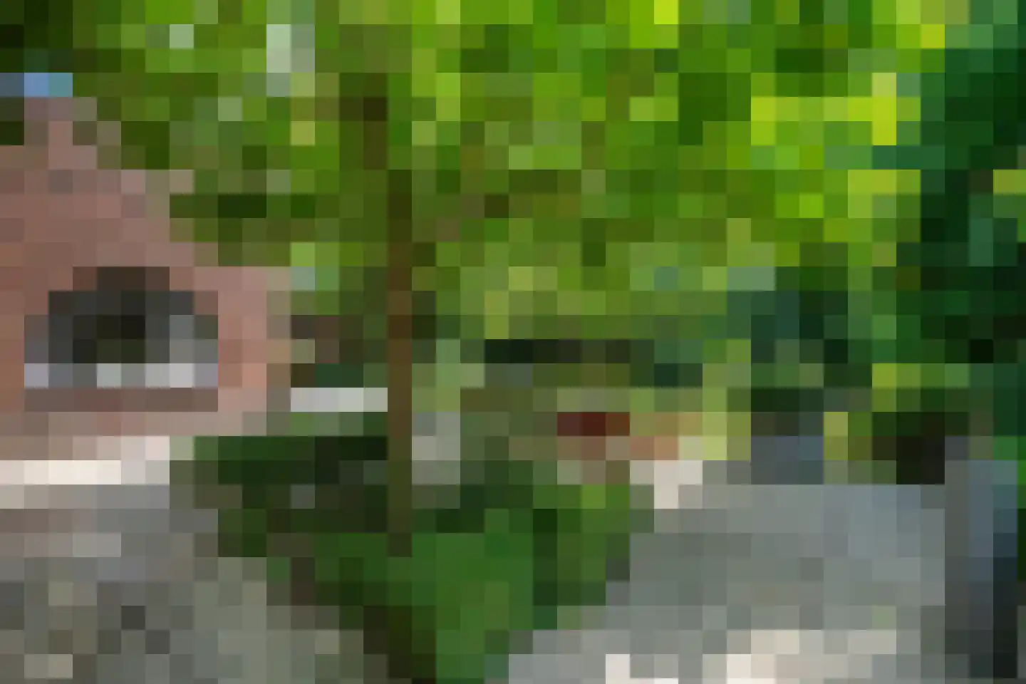 Broekhem 123 Valkenburg thumbnail 32