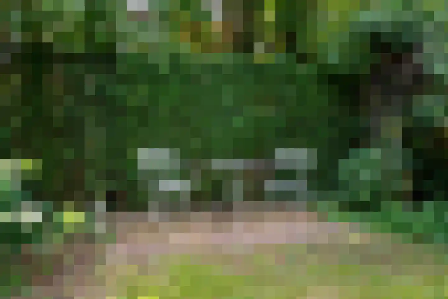 Broekhem 123 Valkenburg thumbnail 36