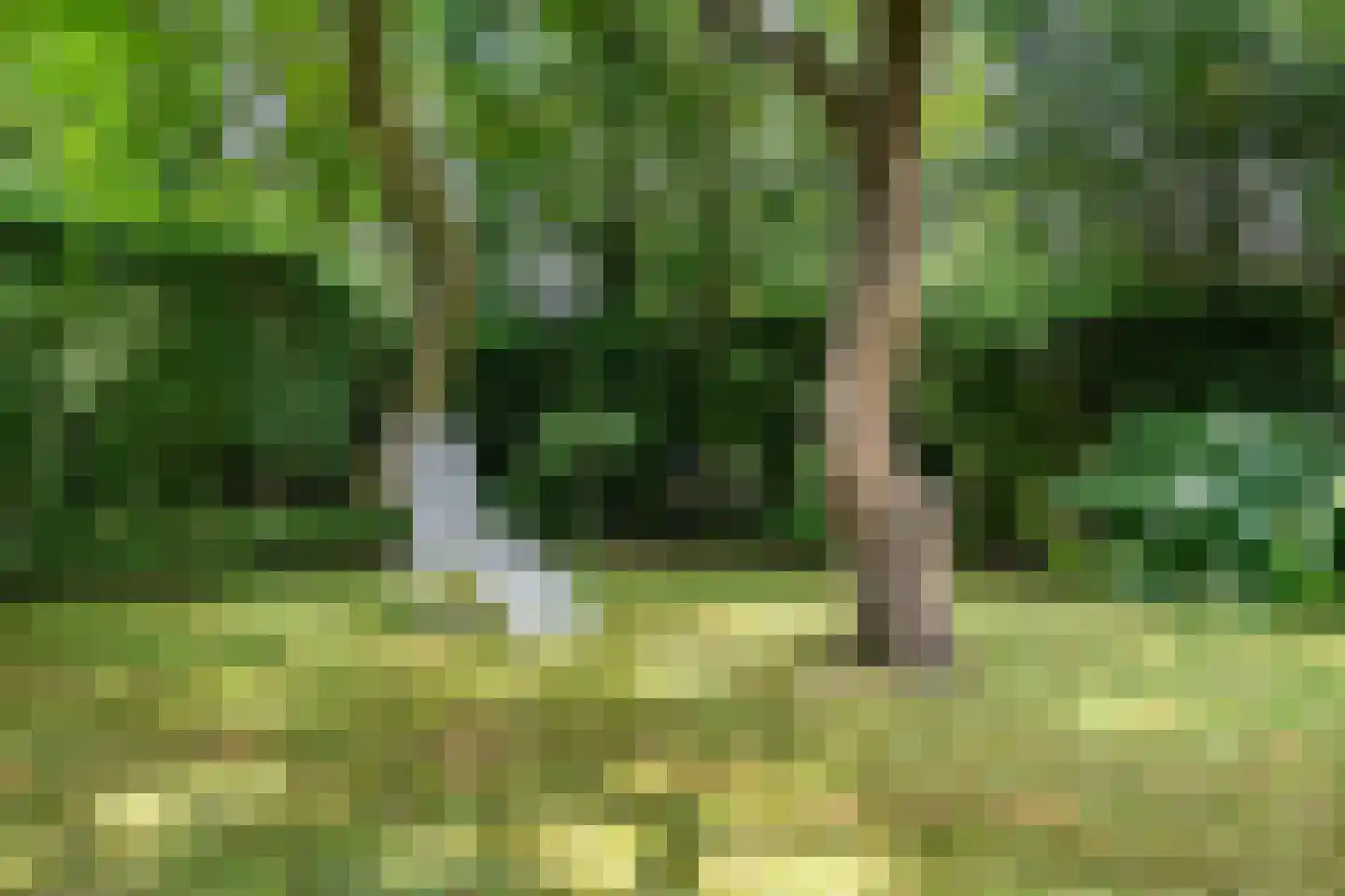 Broekhem 123 Valkenburg thumbnail 37