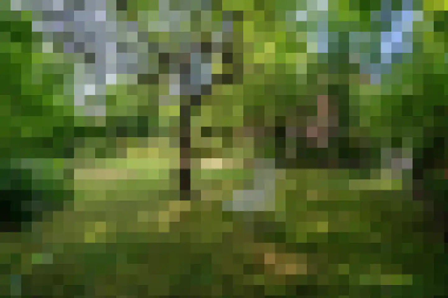 Broekhem 123 Valkenburg thumbnail 38