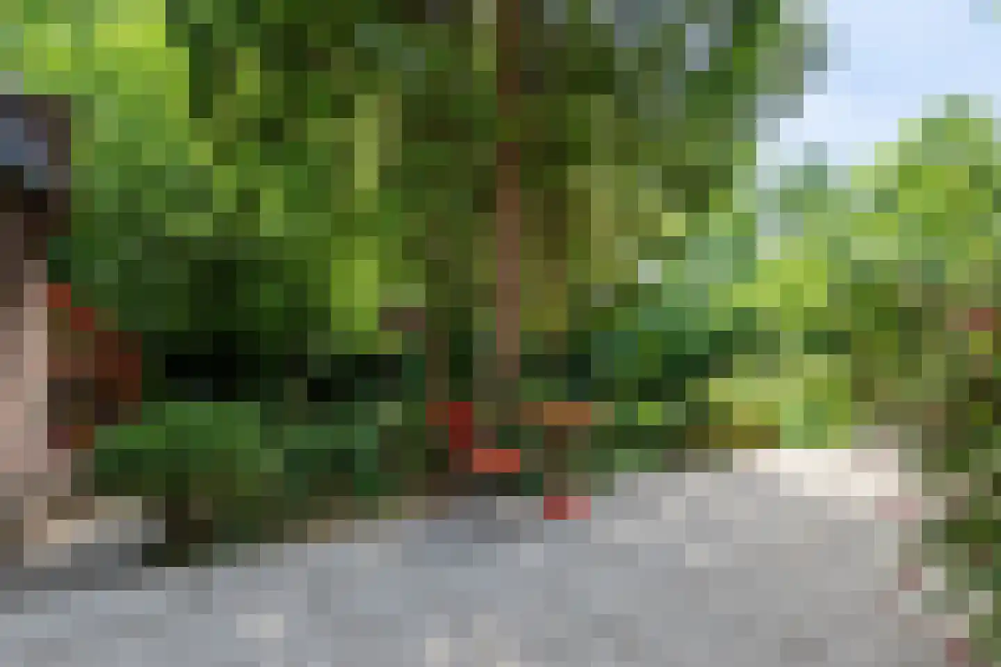 Broekhem 123 Valkenburg thumbnail 41